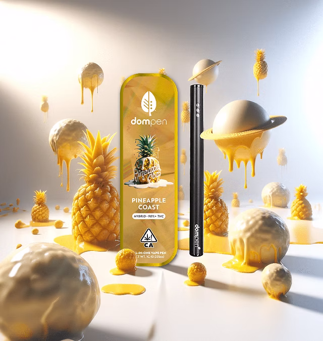 Photograph of product: Disposable Dompen: Pineapple Coast