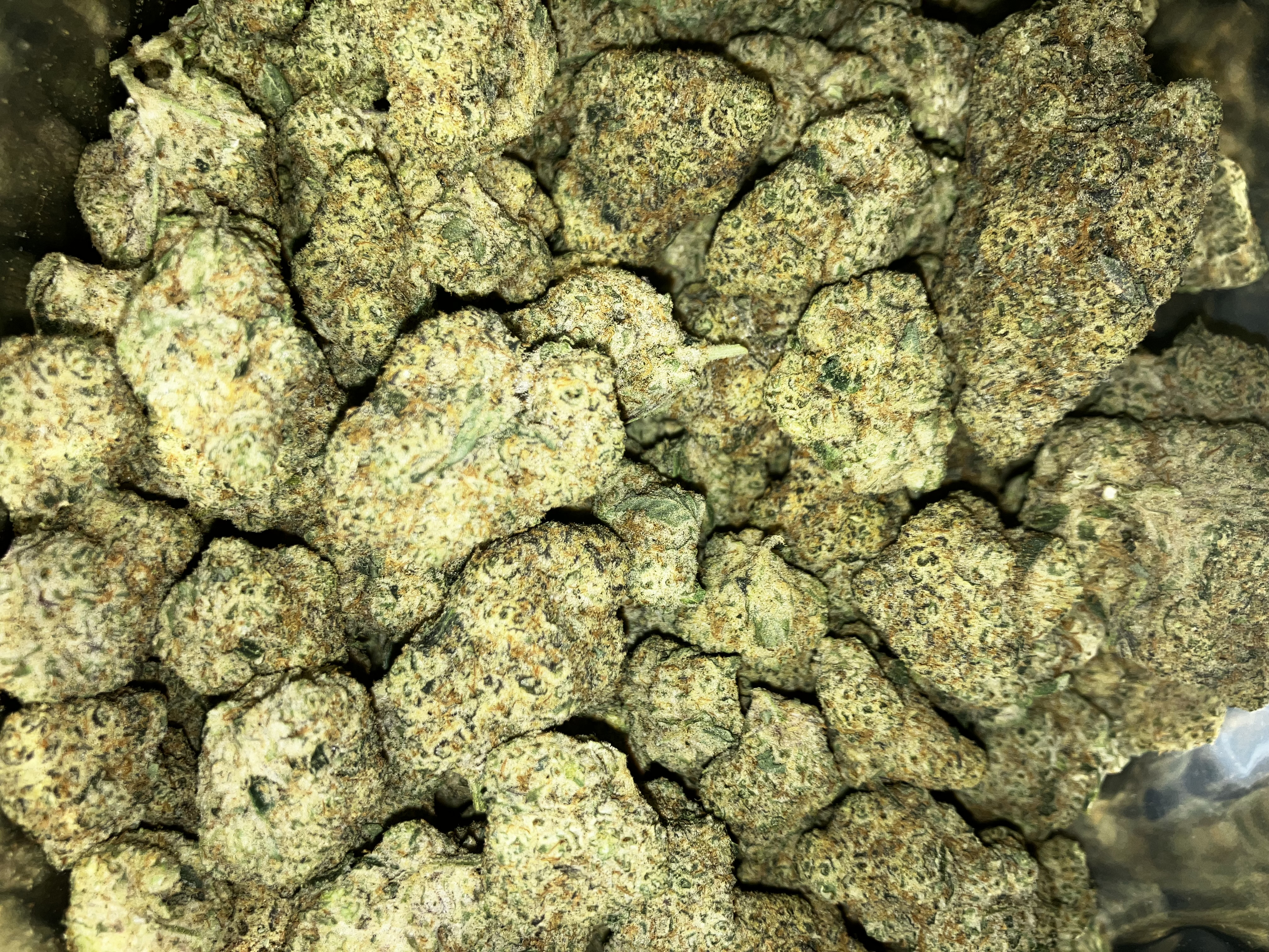 Photograph of product: Zweet Insanity | Plant Nerd - 28g