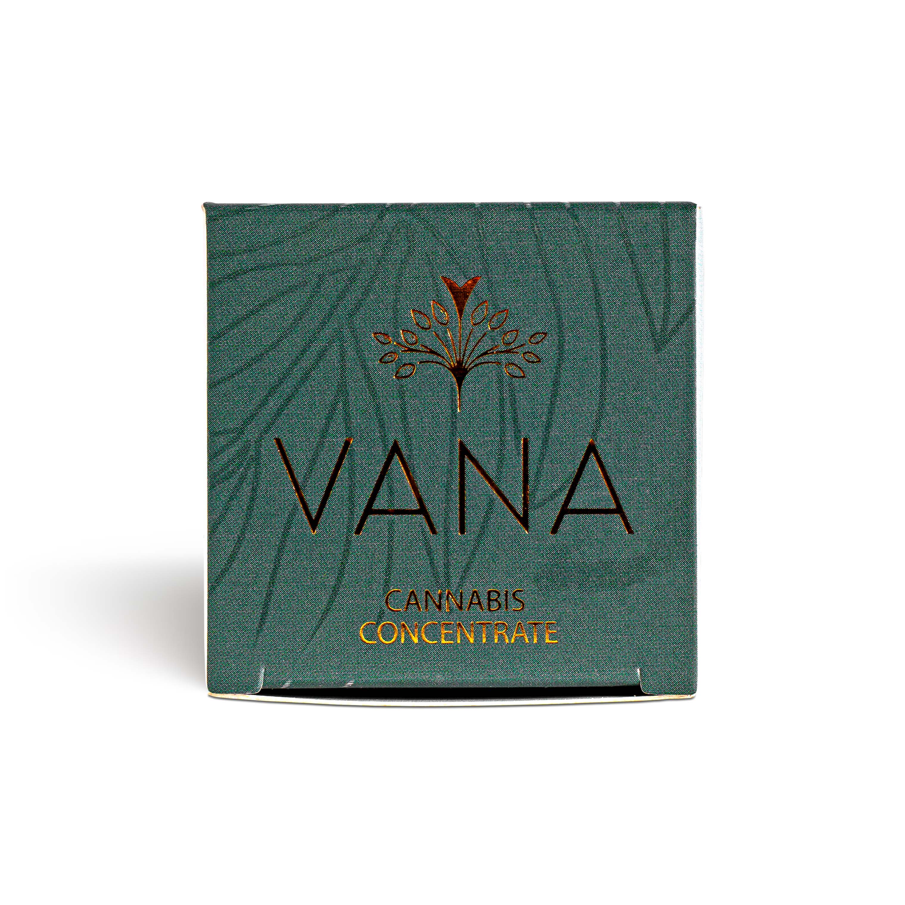 Photograph of product: Lemon Tart Sugar Wax