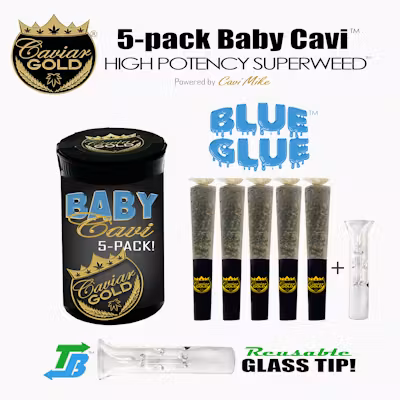 Photograph of product: Caviar Gold l Baby Cavi l Blue Glue l 5pk