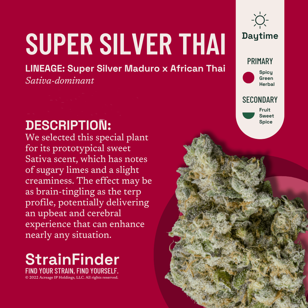 Photograph of product: The Botanist - Super Silver Thai Pre-Roll - 1g
