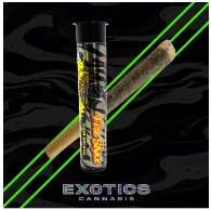 Photograph of product: Tiger Breath | Infused Preroll 1g