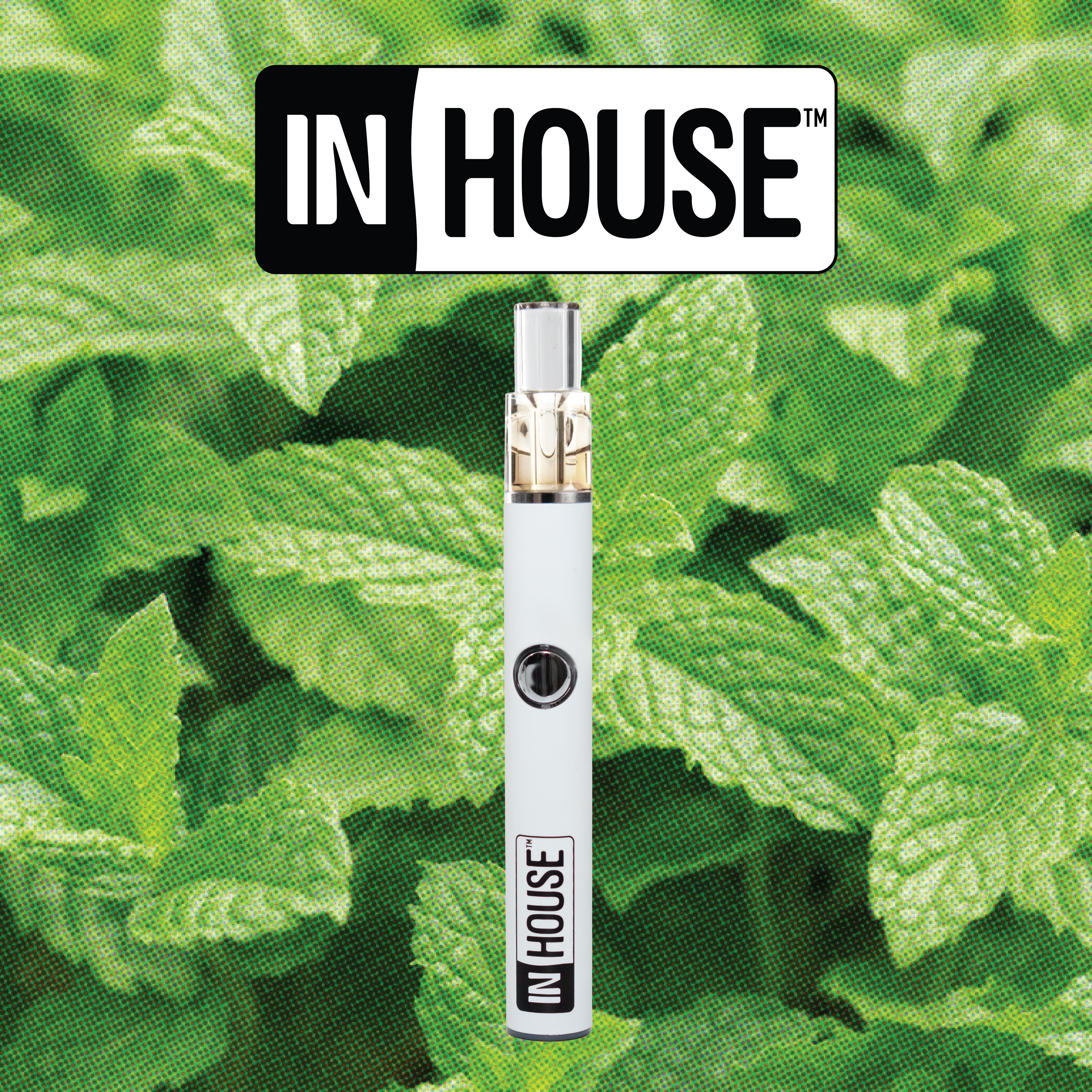 Photograph of product: Cool Mint | 1:1 TH-oui:CBD | Disposable | 0.5g