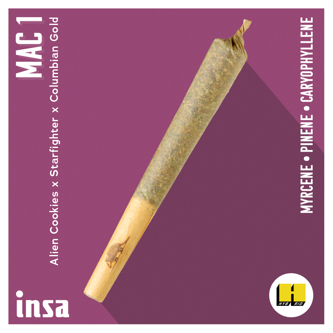 Photograph of product: MAC 1 Preroll | 1g