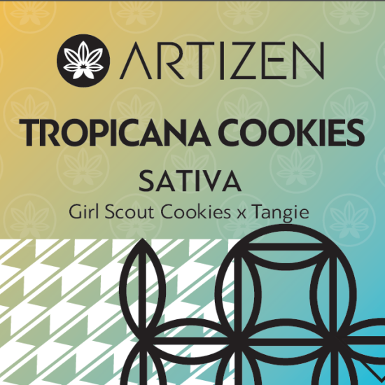 Photograph of product: Artizen: Tropicana Cookies - 7g