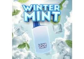 Photograph of product: Later Days Disposable Vape - Winter Mint (I)