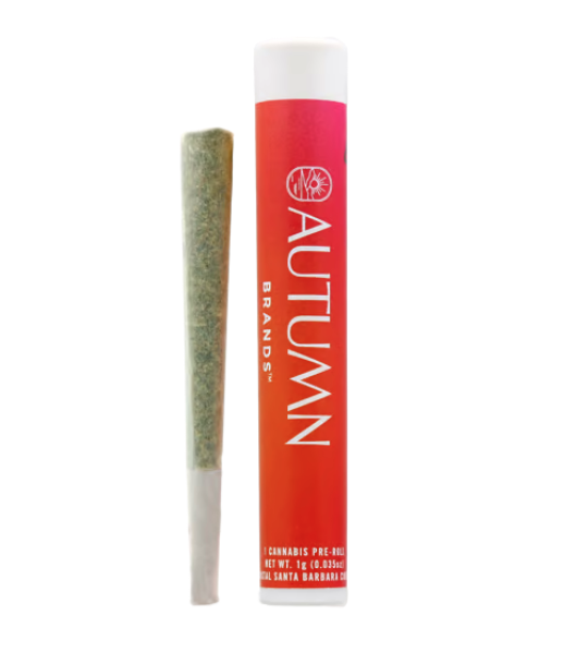 Photograph of product: Funky Flower Child Strain - 1g Preroll | Autumn