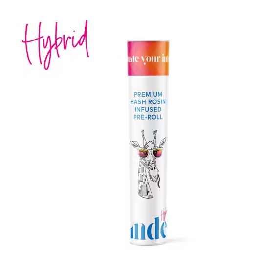 Photograph of product: Candela | Sherbanger | Infused Pre-Roll | 1.25g