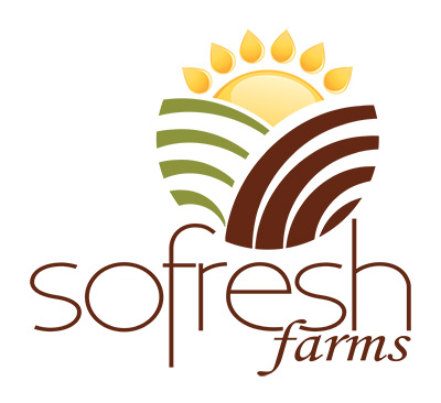 Photograph of product: SoFresh Farms | BANANA COOLER - 28g