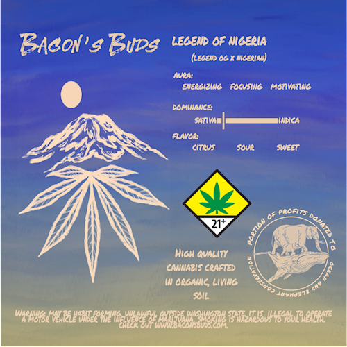 Photograph of product: Bacon's Buds: Legends of Nigeria (S) - 7g