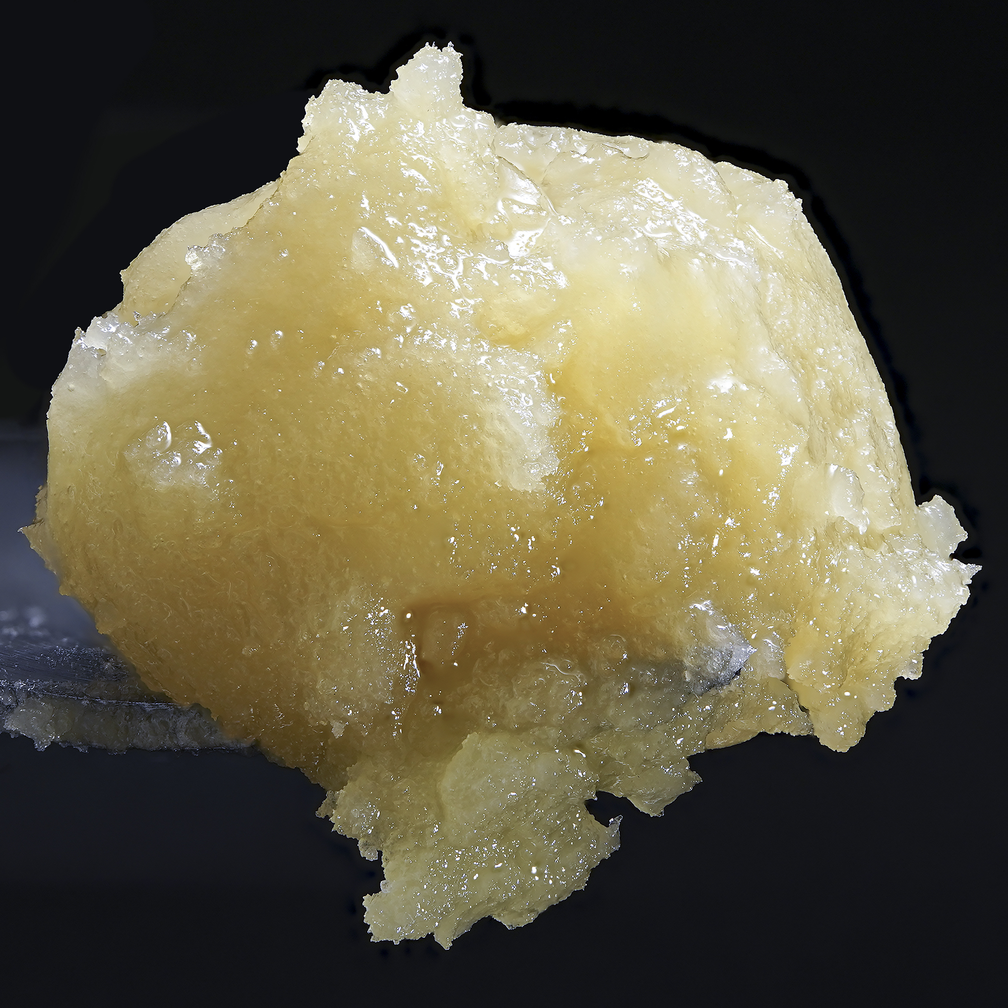 Photograph of product: Wojo Live Rosin - Bukbuk Bobuk