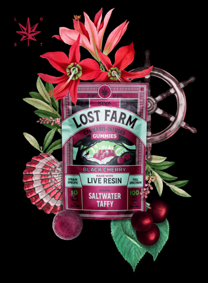 Photograph of product: Black Cherry x Saltwater Taffy Live Resin Gummies [10pk]