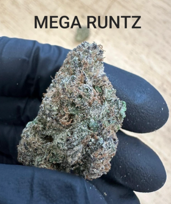Photograph of product: Mega Runtz - 3.5g