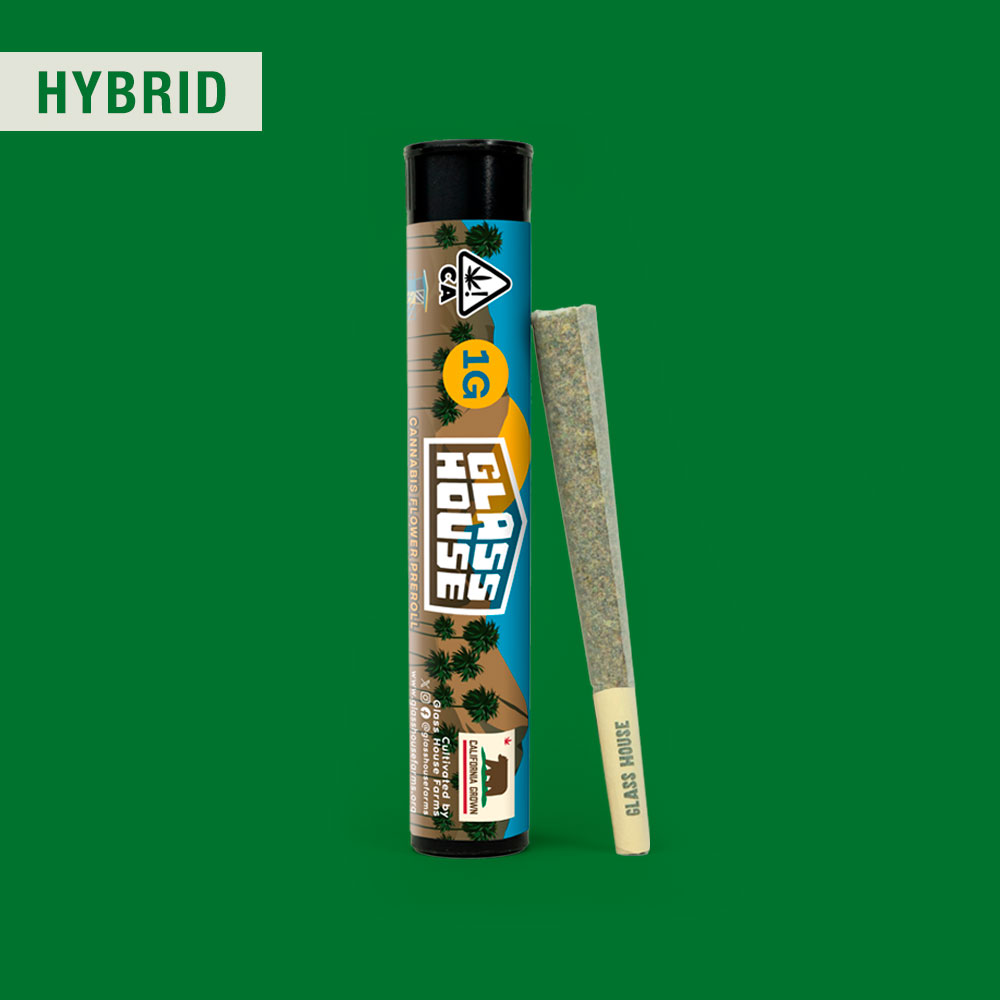 Photograph of product: Sour D X Gas Mask 1g