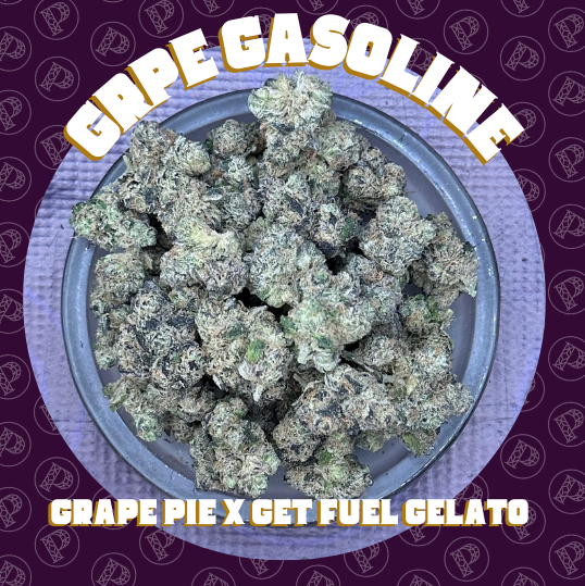 Photograph of product: Kaprikorn - Grape Gasoline - Top Shelf Flower - 28g