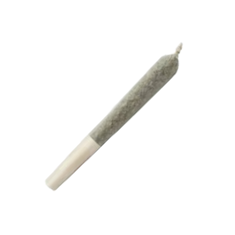 Photograph of product: Benson Arbor - 10pk Pre-Roll - GREEN LEAF SPECIAL (R) - Lemon Cherry Kombucha/Sherbanger