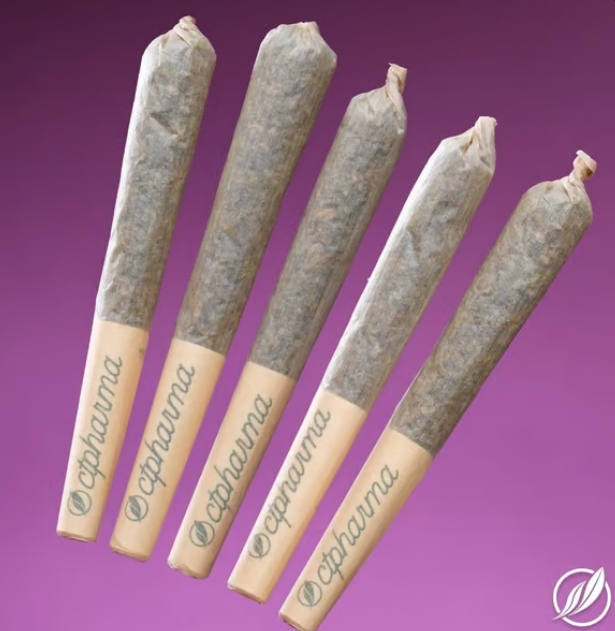 Photograph of product: Scout Breath Shorties T21.28% I 5pk C0020025631
