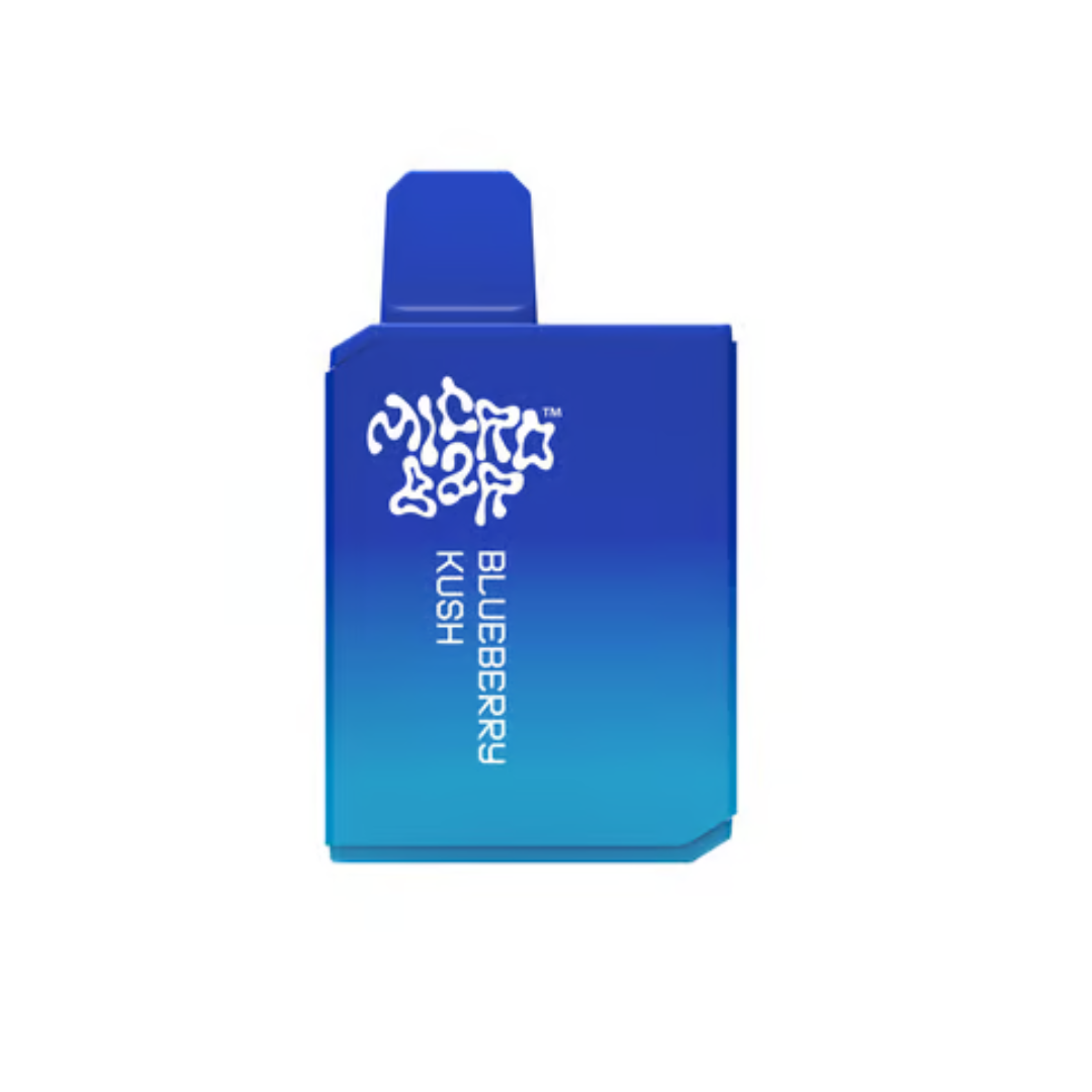 Photograph of product: Blueberry Kush Disposable (I) | 1g