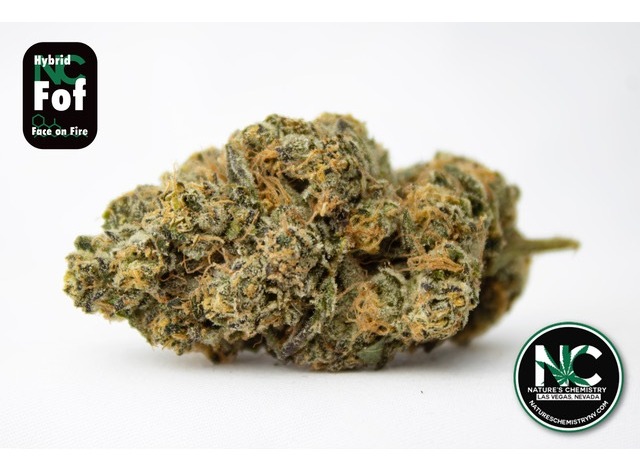 Photograph of product: Nature's Chemistry | Face On Fire (H) 3.5g