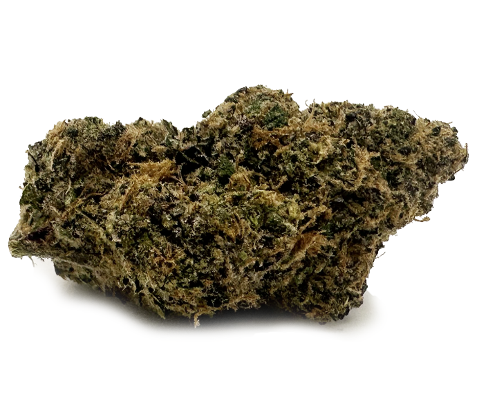 Photograph of product: Wojo Caribbean Breeze Prepack Rec - 3.5g