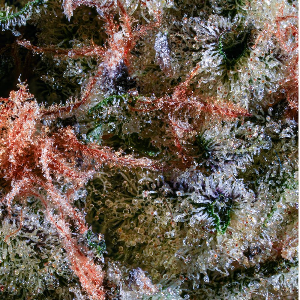 Photograph of Product: Foreign Kush Mints - 3.5g