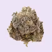 Photograph of product: Flower | Solar Oui'd | Sherbcake | 3.5g