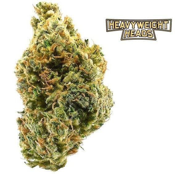 Photograph of product: REC HWH Soda Tang Prepack 3.5g