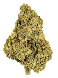 Photograph of product: True OG (I) 3.5 gr - 3.5g