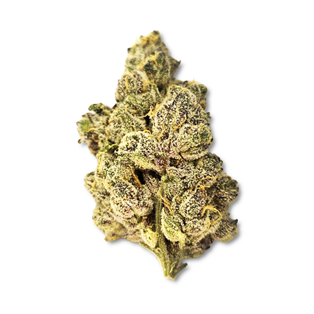 Photograph of product: Gastro Pop (August '24 Harvest) - 1g