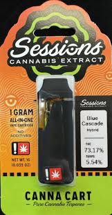 Photograph of product: AIO - 1g Distillate Sessions - Blue Smoothie