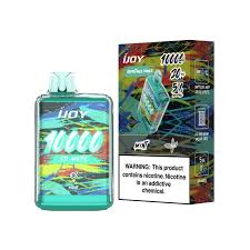 Photograph of product: Mint - iJoy Disposable Vape