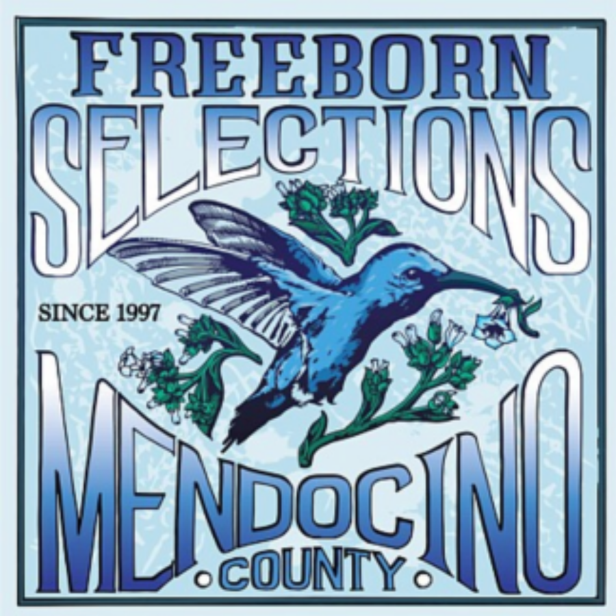 Photograph of product: Freeborn Selections Yesca OG x (LimeF5) 10 pack Regular Seeds - Herb & Market - BOTH - Seed