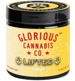 Photograph of product: Glorious | Terpee Slurpee | Flower - 14g