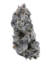 Photograph of product: Chimera - 464 - 28g