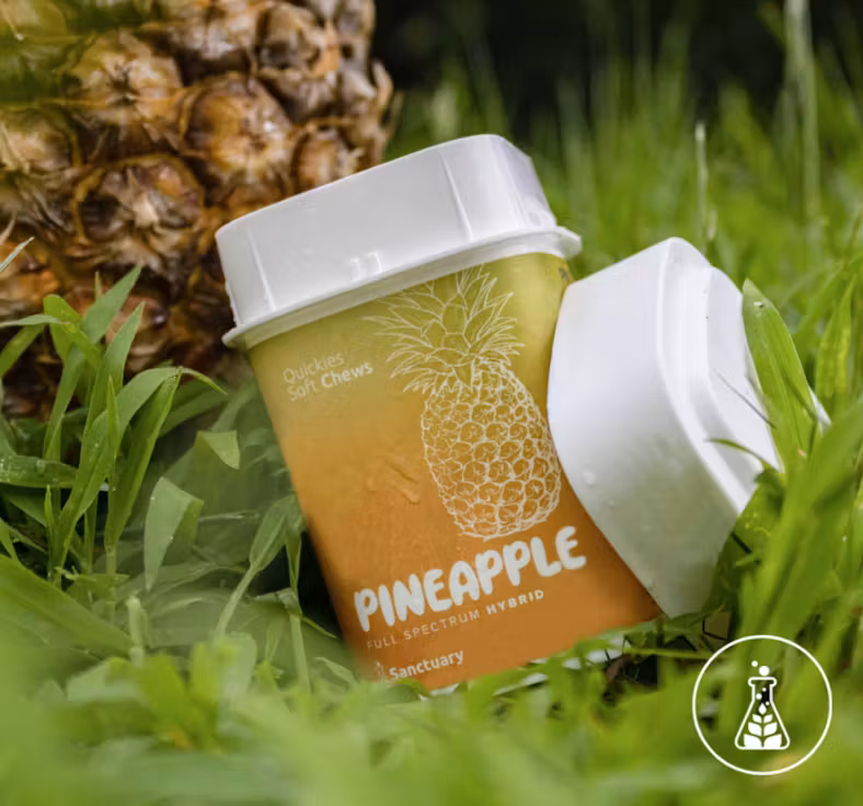 Photograph of product: Pineapple | Quickies | 20 Pack