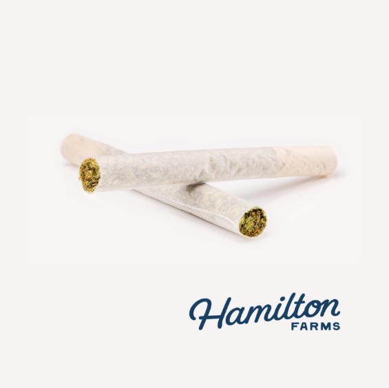 Photograph of product: Evan's OG Kush - 2pk Preroll