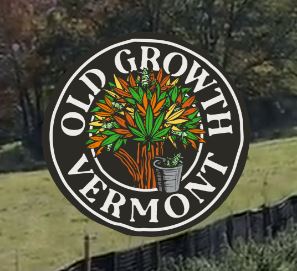 Photograph of Product: Old Growith | Pineapple Mushroom Pizza | 1g (Live Rosin)