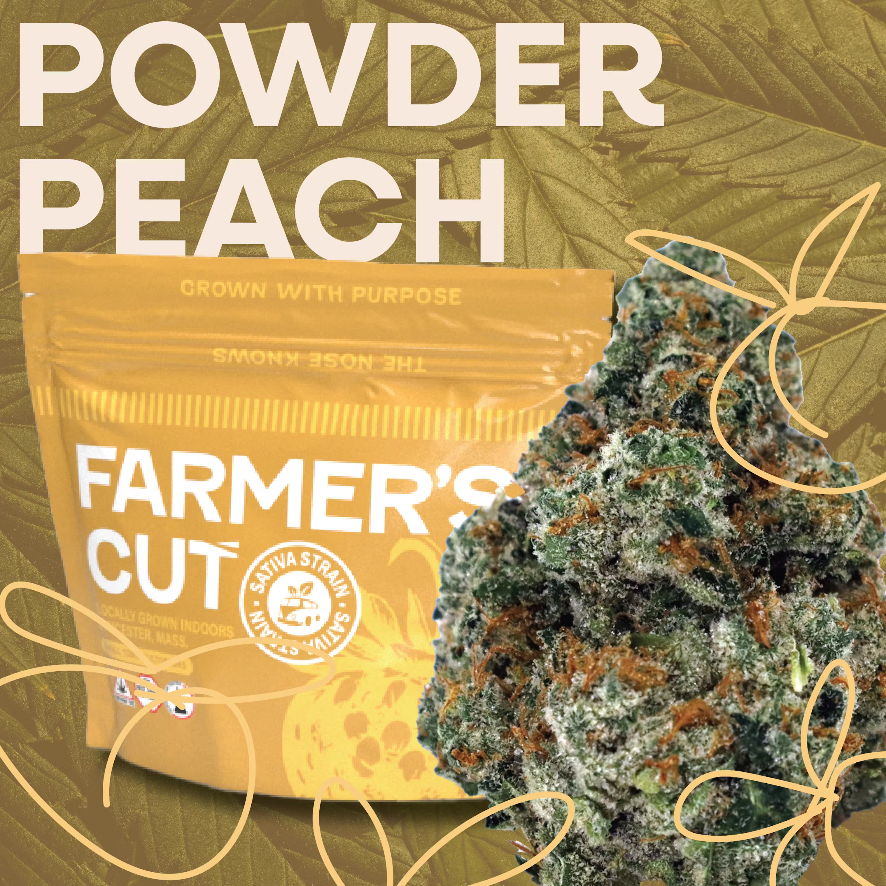 Photograph of product: Powder Peach 3.5g