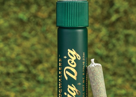 Photograph of product: Animal Face Big Dog 'Sit'  Pre-roll | 0.75g