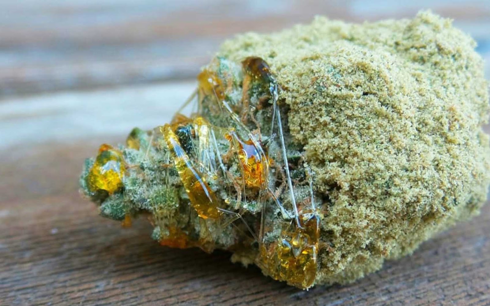 Photograph of product: GuuRocks - Premium Caviar - GuuRocks