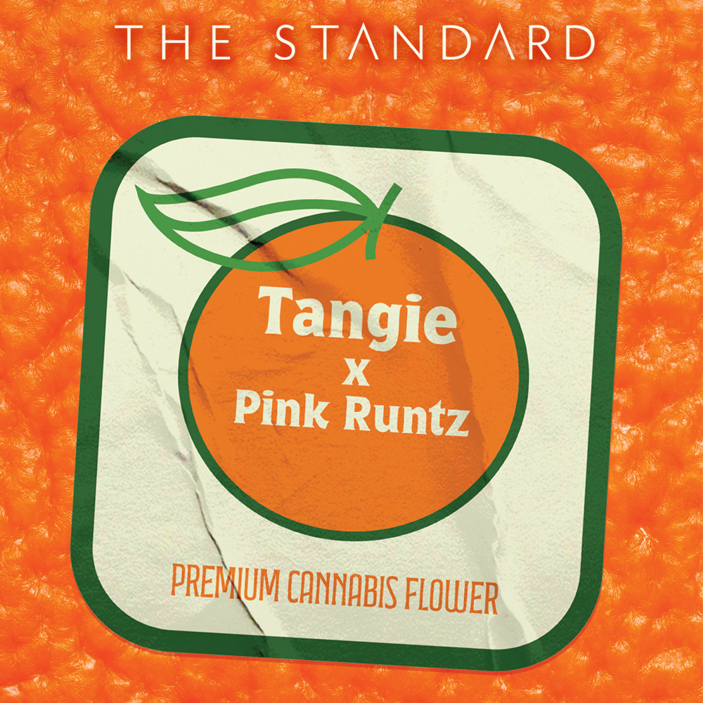 Photograph of product: The Standard: Live Resin Concentrate | Tangie x Pink Runtz | Sugar | 1g