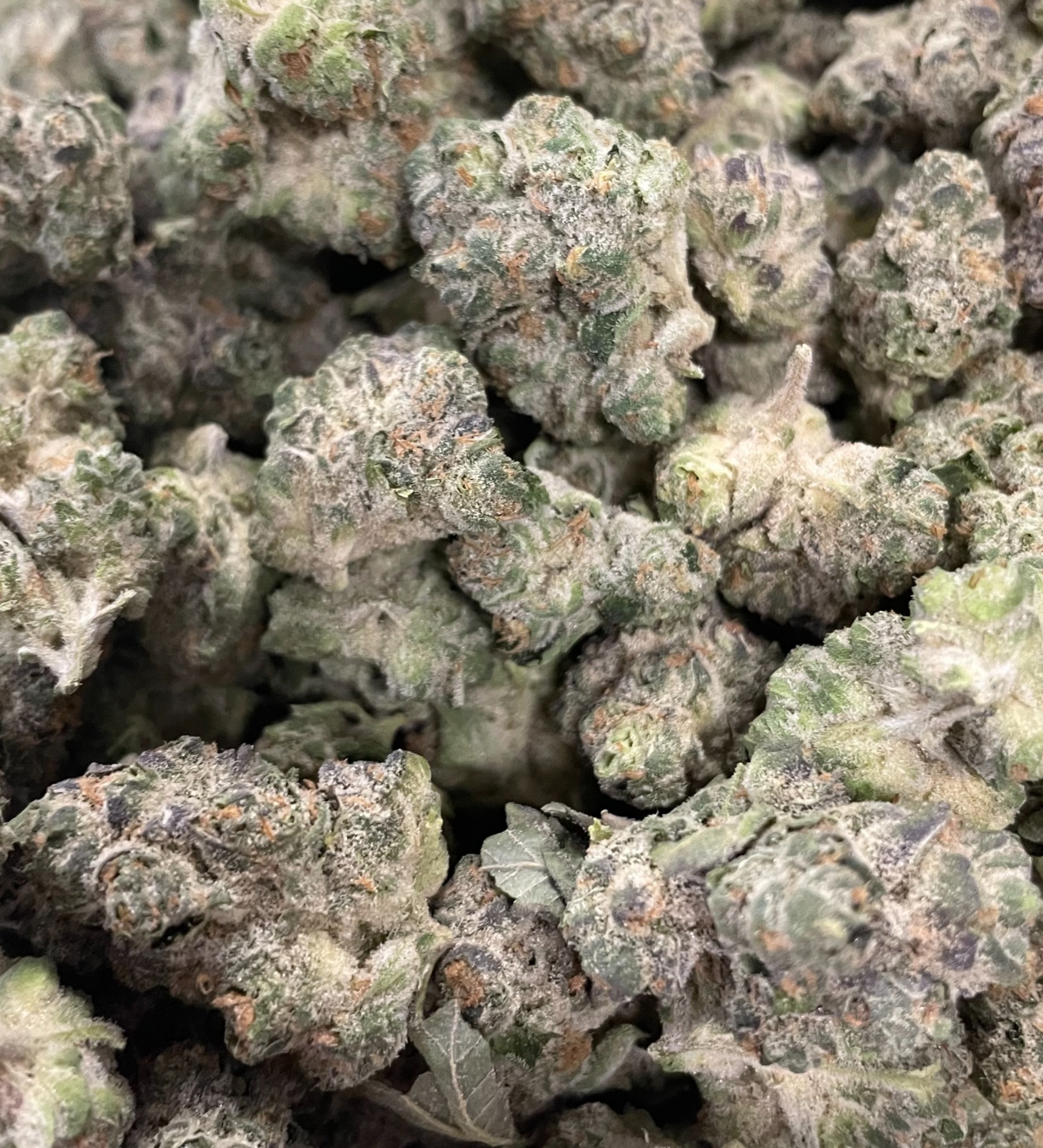 Photograph of product: BananaConda : High Life Farms - 28g