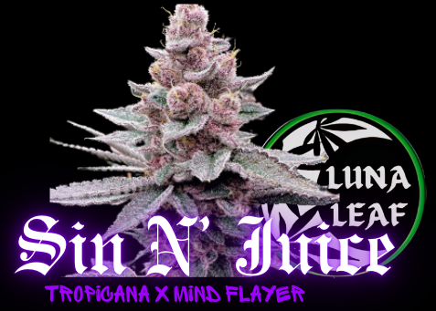 Photograph of product: LUNA LEAF | Sin N' Juice | PreRoll (S/H)