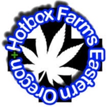 Photograph of product: Hotbox Lighter
