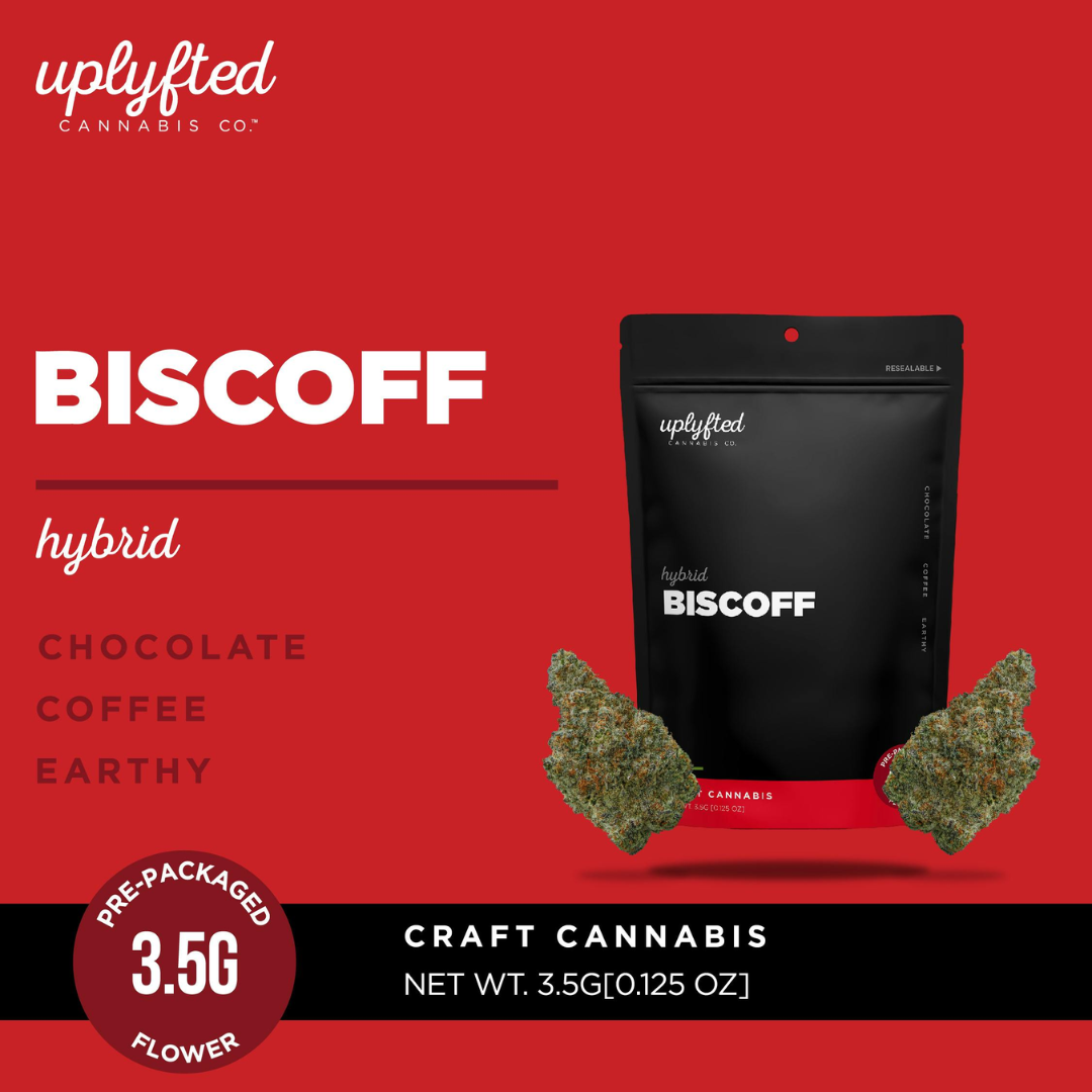Photograph of product: Uplyfted - Biscoff - Pre-Pack - - Hybrid - 3.5g