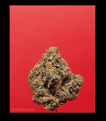 Photograph of Product: Scottie Pippen 1/2 - 14g