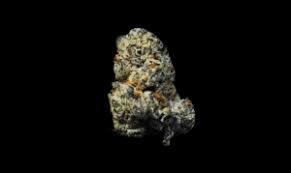 Photograph of product: FlowerHouse Premium Flower | 3.5g | Red Bullz