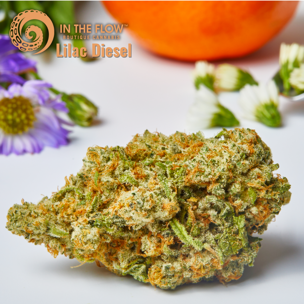Photograph of product: Lilac Diesel - 673 - 28g