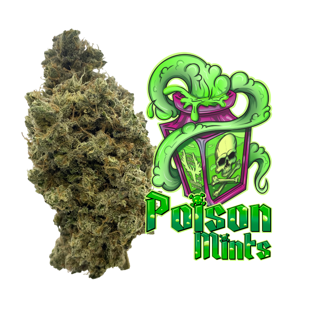 Photograph of product: Poison Mints 3.5g