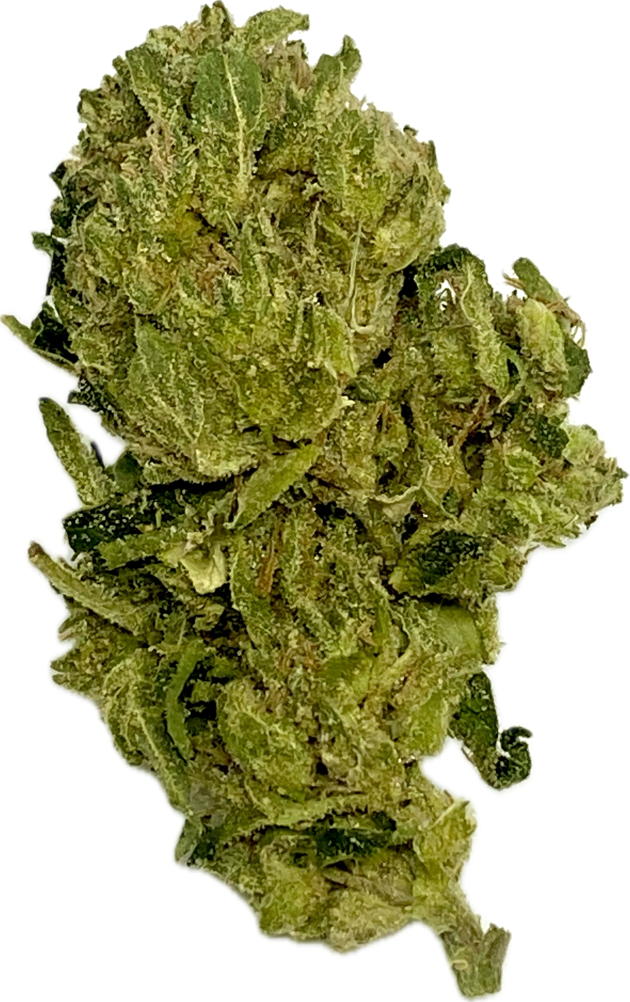Photograph of product: Premier Meds - Private Reserve OG - Bulk Flower - 28g